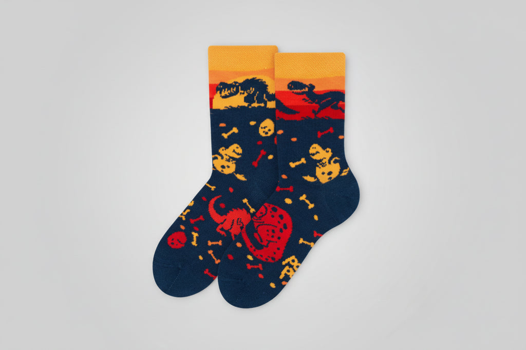 Kids Dinosaur Socks
