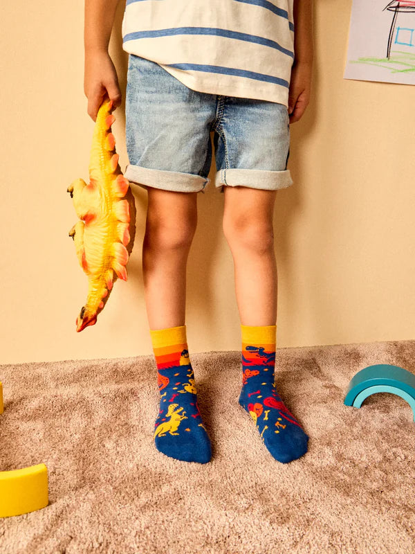 Kids Dinosaur Socks