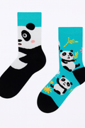 Panda Kids regular